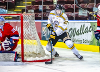 Allsportmediaca-Independent-Sports-News-Island-Sports-News-Victoria-Canon-Football-Hockey-Rugby-Canada-WHL-Royals-Rebelsl-BCFC-CJFL-VI-Raiders-Vancouver-Island-Canada-Soccer-NHL-NFL-BCHL-Highschool-Basketball-Volleyball;independent-sports-news