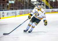 Allsportmediaca-Independent-Sports-News-Island-Sports-News-Victoria-Canon-Football-Hockey-Rugby-Canada-WHL-Royals-Rebelsl-BCFC-CJFL-VI-Raiders-Vancouver-Island-Canada-Soccer-NHL-NFL-BCHL-Highschool-Basketball-Volleyball;independent-sports-news