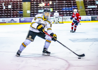 Allsportmediaca-Independent-Sports-News-Island-Sports-News-Victoria-Canon-Football-Hockey-Rugby-Canada-WHL-Royals-Rebelsl-BCFC-CJFL-VI-Raiders-Vancouver-Island-Canada-Soccer-NHL-NFL-BCHL-Highschool-Basketball-Volleyball;independent-sports-news