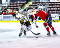 Allsportmediaca-Independent-Sports-News-Island-Sports-News-Victoria-Canon-Football-Hockey-Rugby-Canada-WHL-Royals-Rebelsl-BCFC-CJFL-VI-Raiders-Vancouver-Island-Canada-Soccer-NHL-NFL-BCHL-Highschool-Basketball-Volleyball;independent-sports-news