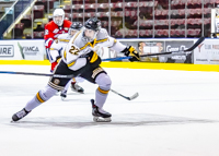 Allsportmediaca-Independent-Sports-News-Island-Sports-News-Victoria-Canon-Football-Hockey-Rugby-Canada-WHL-Royals-Rebelsl-BCFC-CJFL-VI-Raiders-Vancouver-Island-Canada-Soccer-NHL-NFL-BCHL-Highschool-Basketball-Volleyball;independent-sports-news