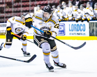 Allsportmediaca-Independent-Sports-News-Island-Sports-News-Victoria-Canon-Football-Hockey-Rugby-Canada-WHL-Royals-Rebelsl-BCFC-CJFL-VI-Raiders-Vancouver-Island-Canada-Soccer-NHL-NFL-BCHL-Highschool-Basketball-Volleyball;independent-sports-news