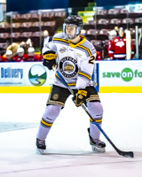 Allsportmediaca-Independent-Sports-News-Island-Sports-News-Victoria-Canon-Football-Hockey-Rugby-Canada-WHL-Royals-Rebelsl-BCFC-CJFL-VI-Raiders-Vancouver-Island-Canada-Soccer-NHL-NFL-BCHL-Highschool-Basketball-Volleyball;independent-sports-news