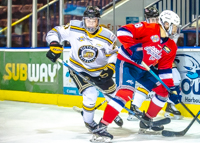 Allsportmediaca-Independent-Sports-News-Island-Sports-News-Victoria-Canon-Football-Hockey-Rugby-Canada-WHL-Royals-Rebelsl-BCFC-CJFL-VI-Raiders-Vancouver-Island-Canada-Soccer-NHL-NFL-BCHL-Highschool-Basketball-Volleyball;independent-sports-news