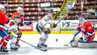 Allsportmediaca-Independent-Sports-News-Island-Sports-News-Victoria-Canon-Football-Hockey-Rugby-Canada-WHL-Royals-Rebelsl-BCFC-CJFL-VI-Raiders-Vancouver-Island-Canada-Soccer-NHL-NFL-BCHL-Highschool-Basketball-Volleyball;independent-sports-news