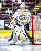 Allsportmediaca-Independent-Sports-News-Island-Sports-News-Victoria-Canon-Football-Hockey-Rugby-Canada-WHL-Royals-Rebelsl-BCFC-CJFL-VI-Raiders-Vancouver-Island-Canada-Soccer-NHL-NFL-BCHL-Highschool-Basketball-Volleyball;independent-sports-news