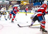 Allsportmediaca-Independent-Sports-News-Island-Sports-News-Victoria-Canon-Football-Hockey-Rugby-Canada-WHL-Royals-Rebelsl-BCFC-CJFL-VI-Raiders-Vancouver-Island-Canada-Soccer-NHL-NFL-BCHL-Highschool-Basketball-Volleyball;independent-sports-news