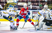 Allsportmediaca-Independent-Sports-News-Island-Sports-News-Victoria-Canon-Football-Hockey-Rugby-Canada-WHL-Royals-Rebelsl-BCFC-CJFL-VI-Raiders-Vancouver-Island-Canada-Soccer-NHL-NFL-BCHL-Highschool-Basketball-Volleyball;independent-sports-news