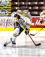 Allsportmediaca-Independent-Sports-News-Island-Sports-News-Victoria-Canon-Football-Hockey-Rugby-Canada-WHL-Royals-Rebelsl-BCFC-CJFL-VI-Raiders-Vancouver-Island-Canada-Soccer-NHL-NFL-BCHL-Highschool-Basketball-Volleyball;independent-sports-news