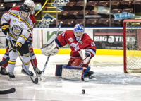 Allsportmediaca-Independent-Sports-News-Island-Sports-News-Victoria-Canon-Football-Hockey-Rugby-Canada-WHL-Royals-Rebelsl-BCFC-CJFL-VI-Raiders-Vancouver-Island-Canada-Soccer-NHL-NFL-BCHL-Highschool-Basketball-Volleyball;independent-sports-news