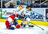 Allsportmediaca-Independent-Sports-News-Island-Sports-News-Victoria-Canon-Football-Hockey-Rugby-Canada-WHL-Royals-Rebelsl-BCFC-CJFL-VI-Raiders-Vancouver-Island-Canada-Soccer-NHL-NFL-BCHL-Highschool-Basketball-Volleyball;independent-sports-news