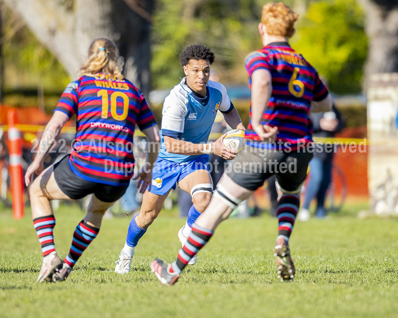 Camosun College Chargers Basketball Victoria Allsportmedia.ca ISN Erich Eichhorn USports PacWest;rugby bc rugby rugby canada