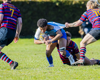 Camosun-College-Chargers-Basketball-Victoria-Allsportmediaca-ISN-Erich-Eichhorn-USports-PacWest;rugby-bc-rugby-rugby-canada