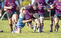 Camosun-College-Chargers-Basketball-Victoria-Allsportmediaca-ISN-Erich-Eichhorn-USports-PacWest;rugby-bc-rugby-rugby-canada