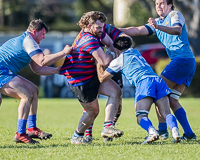 Camosun-College-Chargers-Basketball-Victoria-Allsportmediaca-ISN-Erich-Eichhorn-USports-PacWest;rugby-bc-rugby-rugby-canada