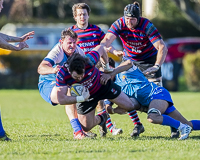 Camosun-College-Chargers-Basketball-Victoria-Allsportmediaca-ISN-Erich-Eichhorn-USports-PacWest;rugby-bc-rugby-rugby-canada