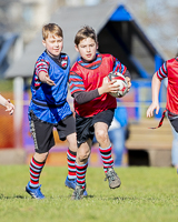 Camosun-College-Chargers-Basketball-Victoria-Allsportmediaca-ISN-Erich-Eichhorn-USports-PacWest;rugby-bc-rugby-rugby-canada