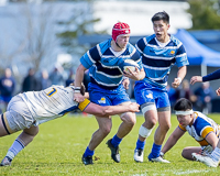 Camosun-College-Chargers-Basketball-Victoria-Allsportmediaca-ISN-Erich-Eichhorn-USports-PacWest
