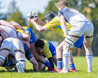 Camosun-College-Chargers-Basketball-Victoria-Allsportmediaca-ISN-Erich-Eichhorn-USports-PacWest