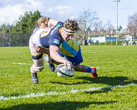 Camosun-College-Chargers-Basketball-Victoria-Allsportmediaca-ISN-Erich-Eichhorn-USports-PacWest