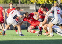Rugby-Canada-World-Rugby-ISland-Sports-News-Independent-Sports-News