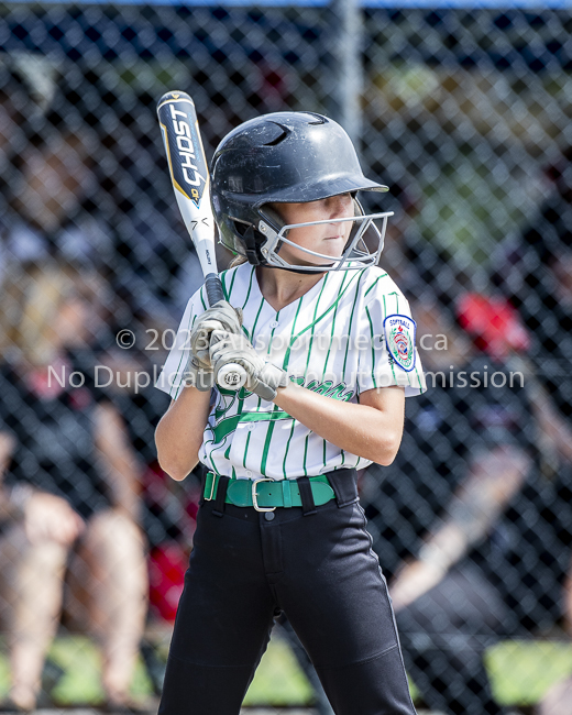 ISN Hampton Little League Softball Canadian Championships Allsportmedia Photofraphy