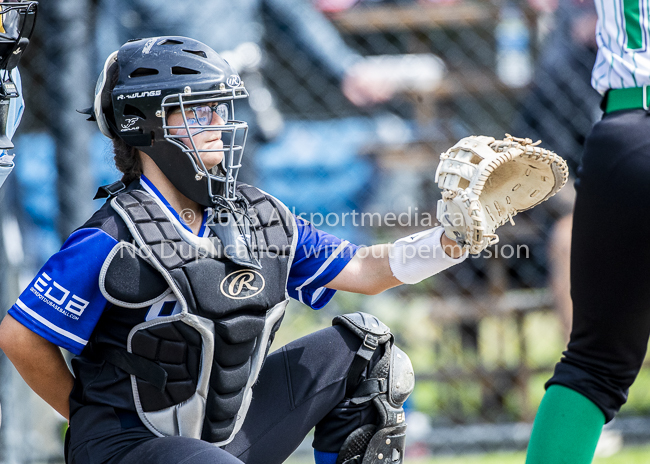 ISN Hampton Little League Softball Canadian Championships Allsportmedia Photofraphy