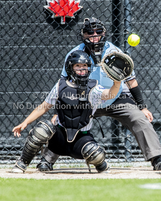 ISN Hampton Little League Softball Canadian Championships Allsportmedia Photofraphy