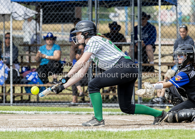 ISN Hampton Little League Softball Canadian Championships Allsportmedia Photofraphy