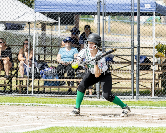 ISN Hampton Little League Softball Canadian Championships Allsportmedia Photofraphy