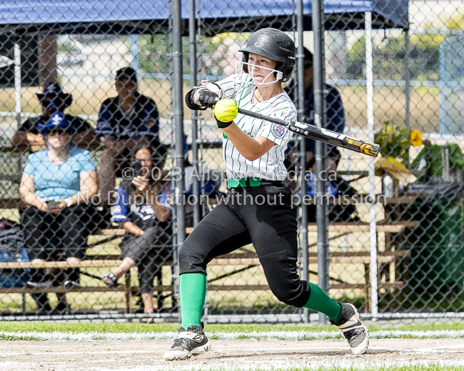 ISN Hampton Little League Softball Canadian Championships Allsportmedia Photofraphy