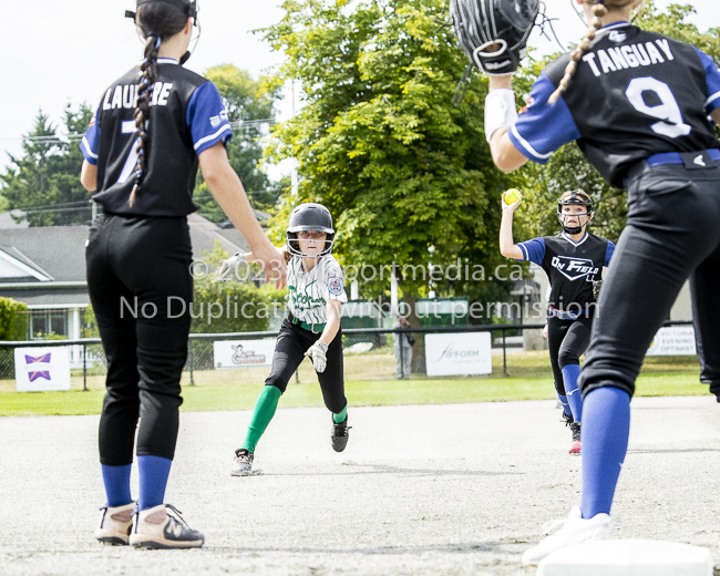 ISN Hampton Little League Softball Canadian Championships Allsportmedia Photofraphy