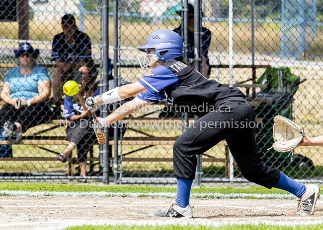 ISN Hampton Little League Softball Canadian Championships Allsportmedia Photofraphy