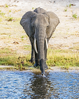 Africa-Chobe-Kruger-Capetown-South-Africa-Botswana