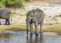 Africa-Chobe-Kruger-Capetown-South-Africa-Botswana