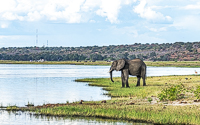Africa-Chobe-Kruger-Capetown-South-Africa-Botswana