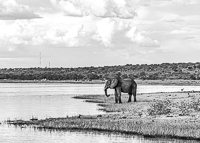 Africa-Chobe-Kruger-Capetown-South-Africa-Botswana