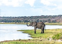 Africa-Chobe-Kruger-Capetown-South-Africa-Botswana